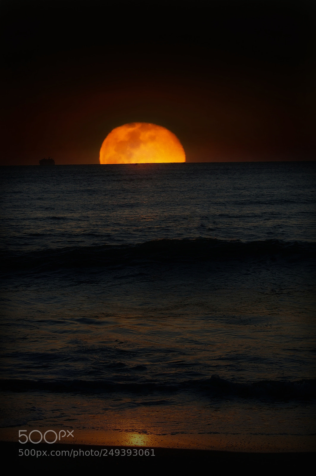 Nikon D40 sample photo. Untitled photography
