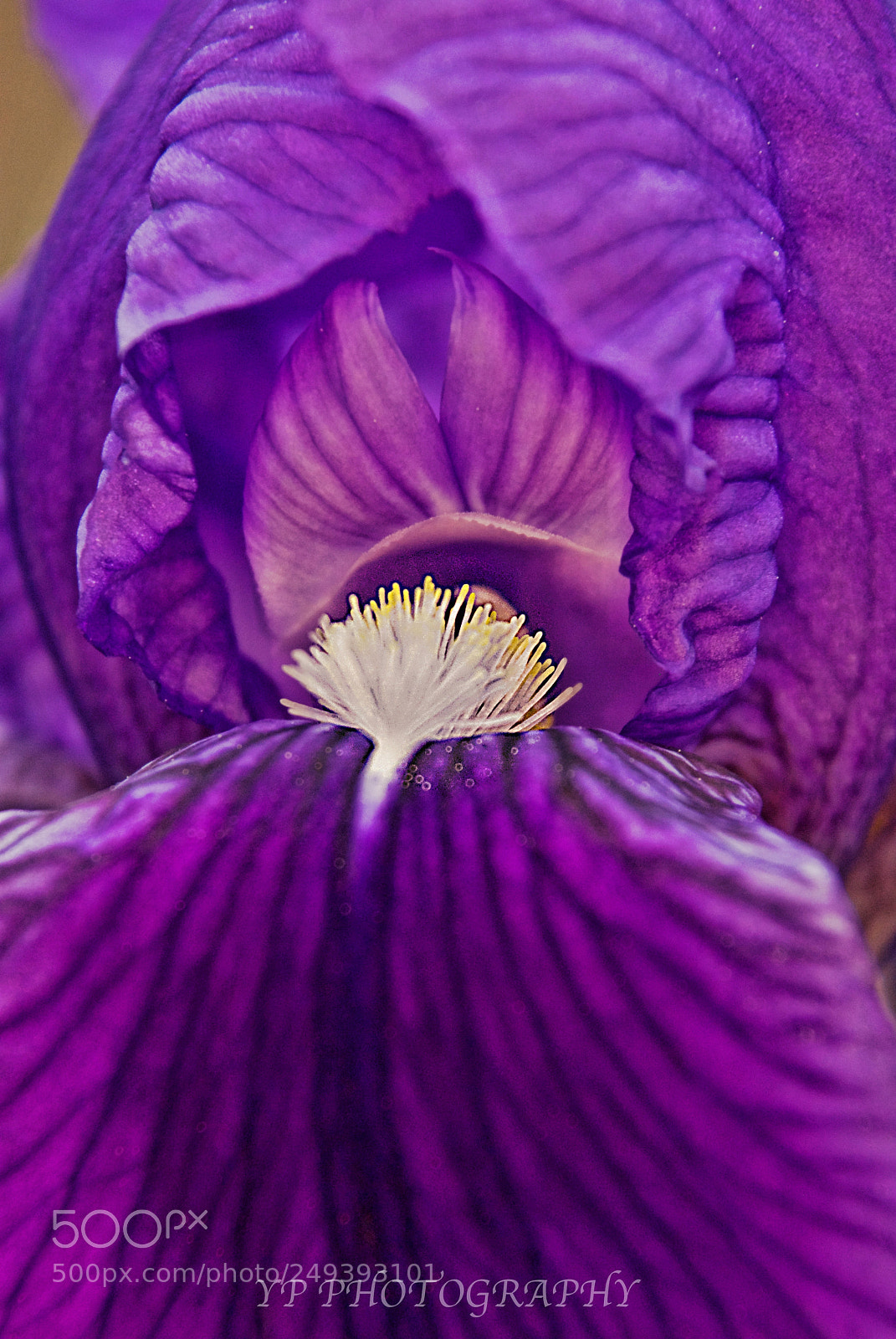 Nikon D200 sample photo. Untitled photography
