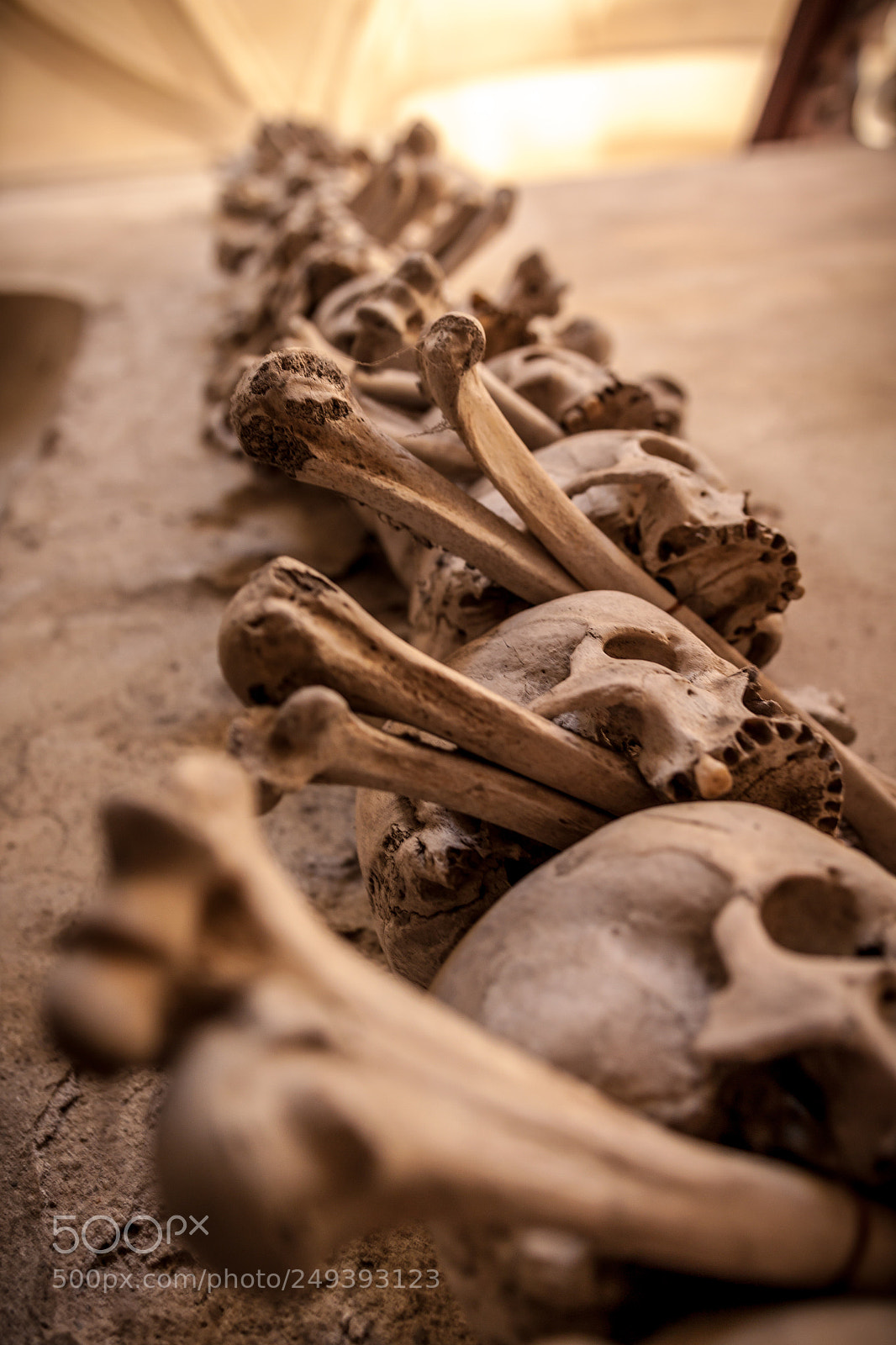 Canon EOS 500D (EOS Rebel T1i / EOS Kiss X3) sample photo. Bone stack in the photography