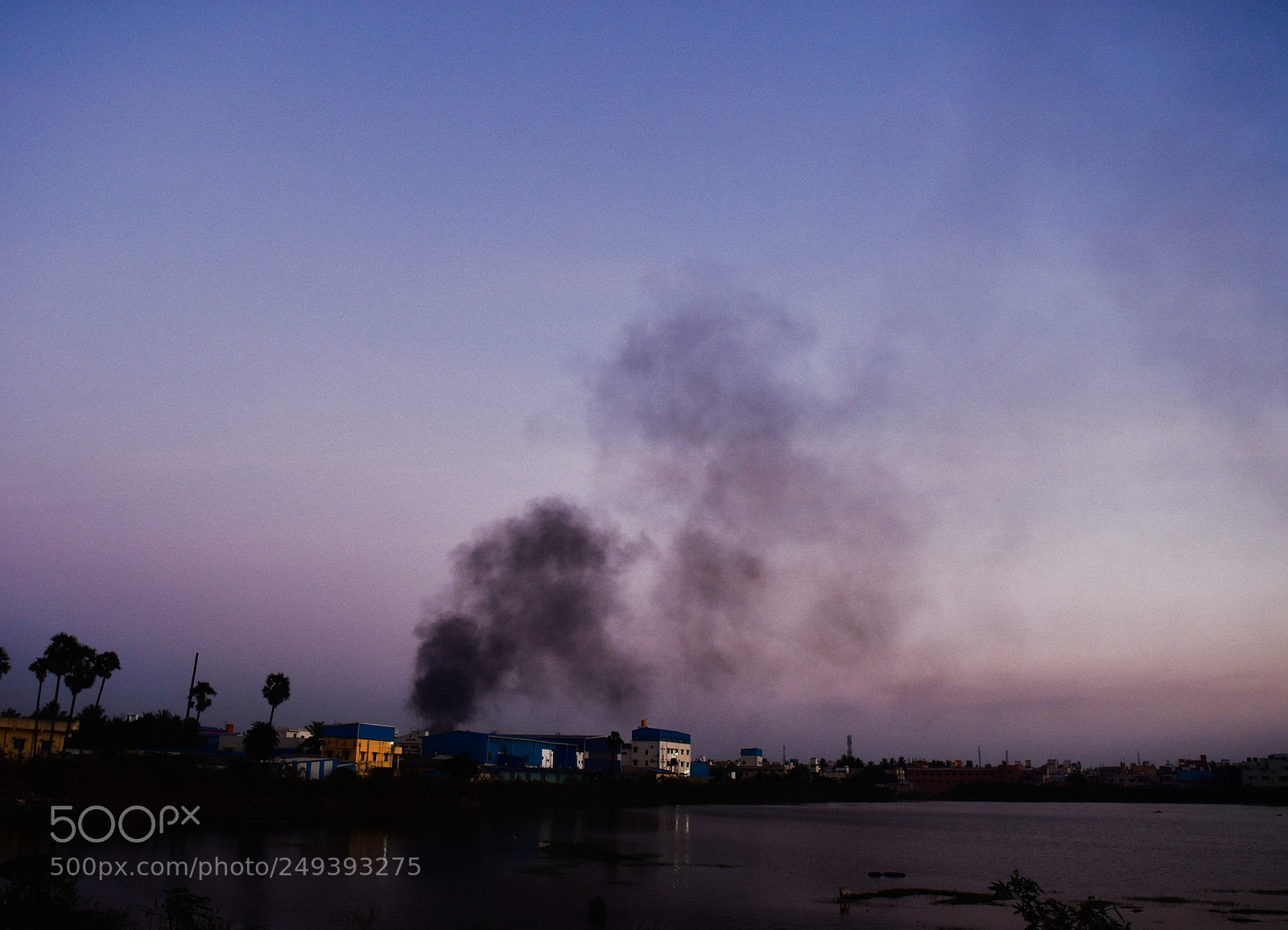 Nikon D7200 sample photo. Pollution killing us photography