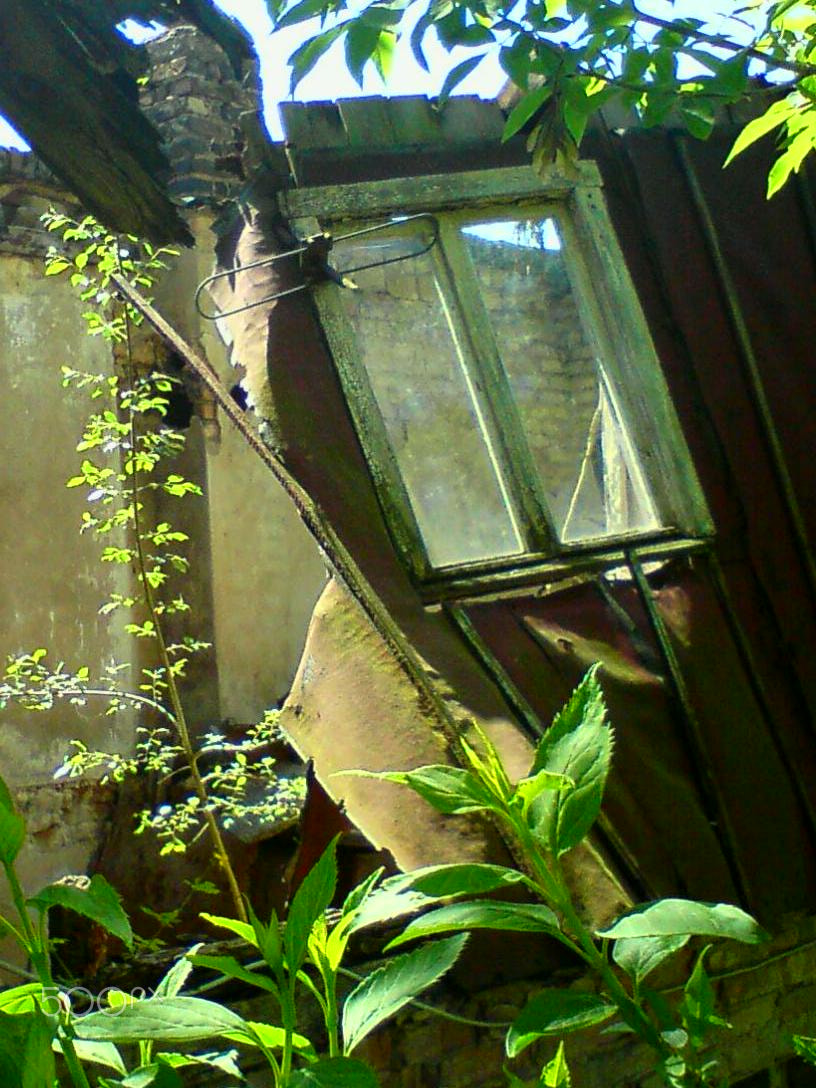 Sony Ericsson C510 sample photo. Neglected photography