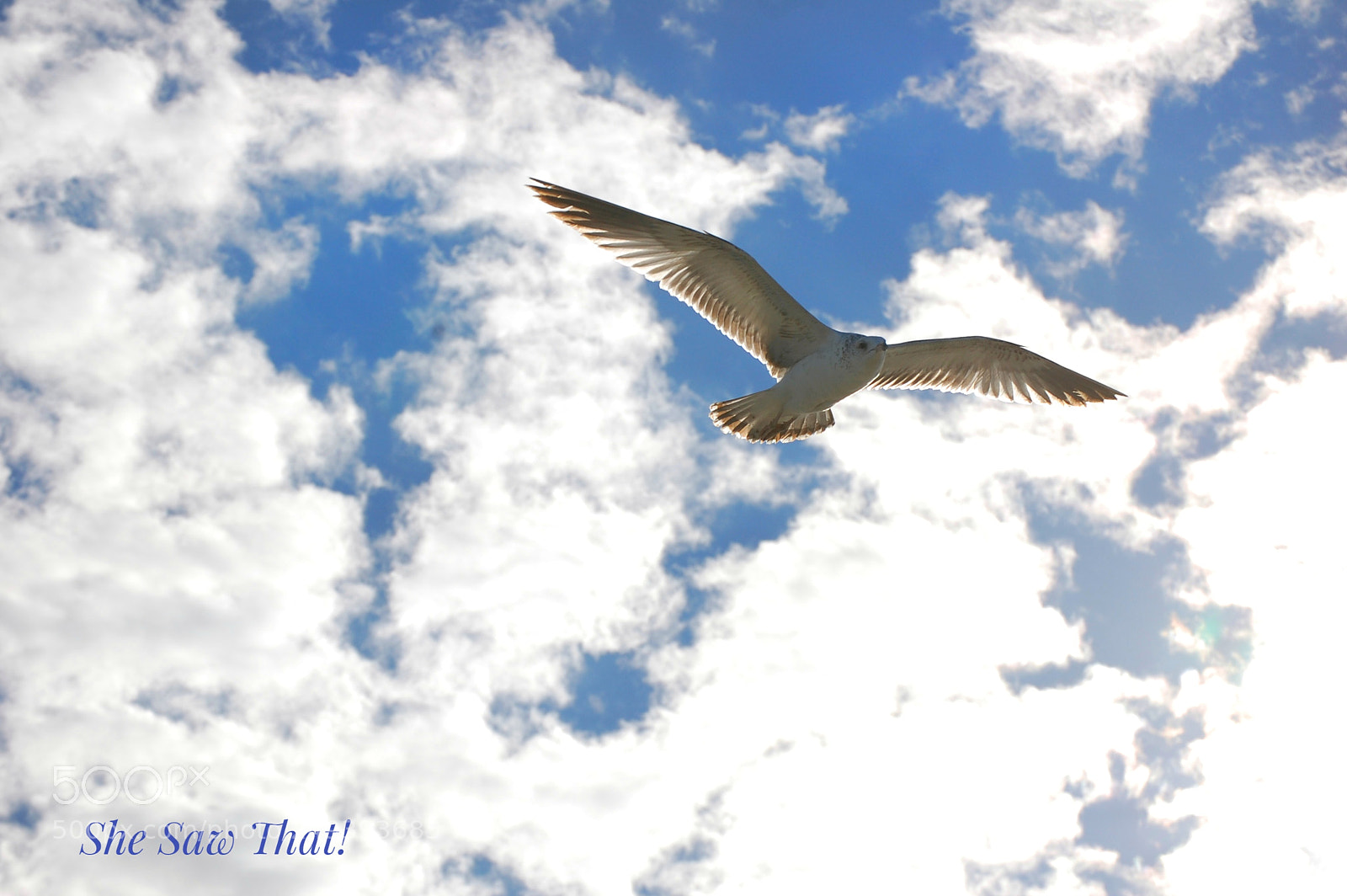 Nikon D40 sample photo. Untitled photography