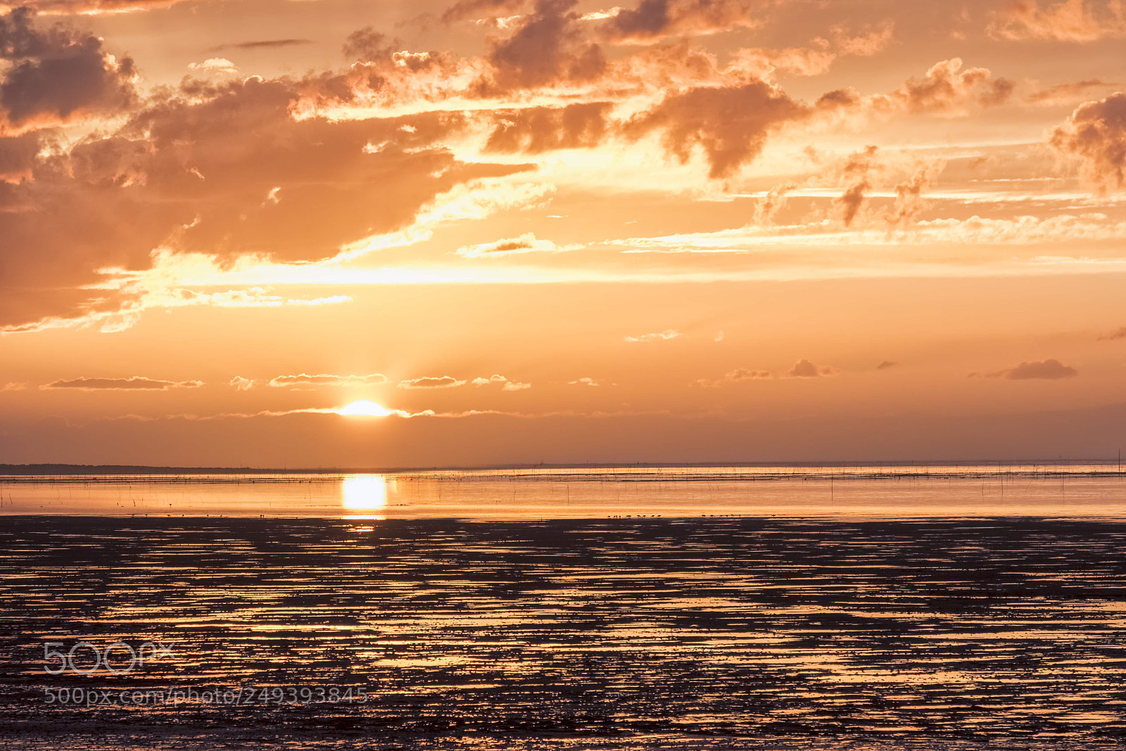 Fujifilm X-T2 sample photo. Coucher de soleil ronce photography