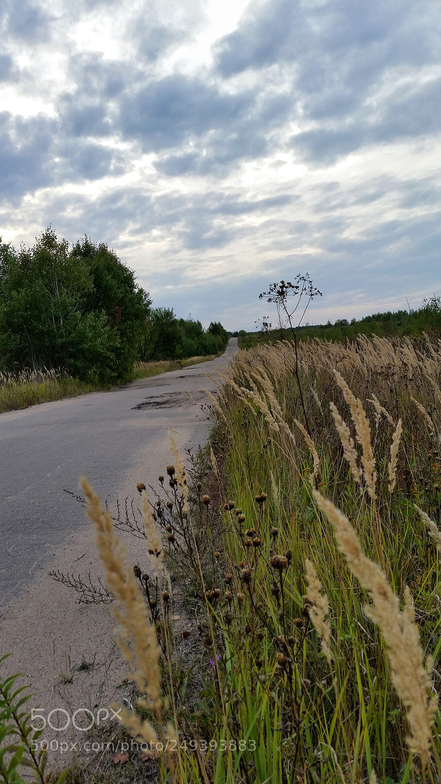 Samsung Galaxy S5 sample photo. Дорога домой photography