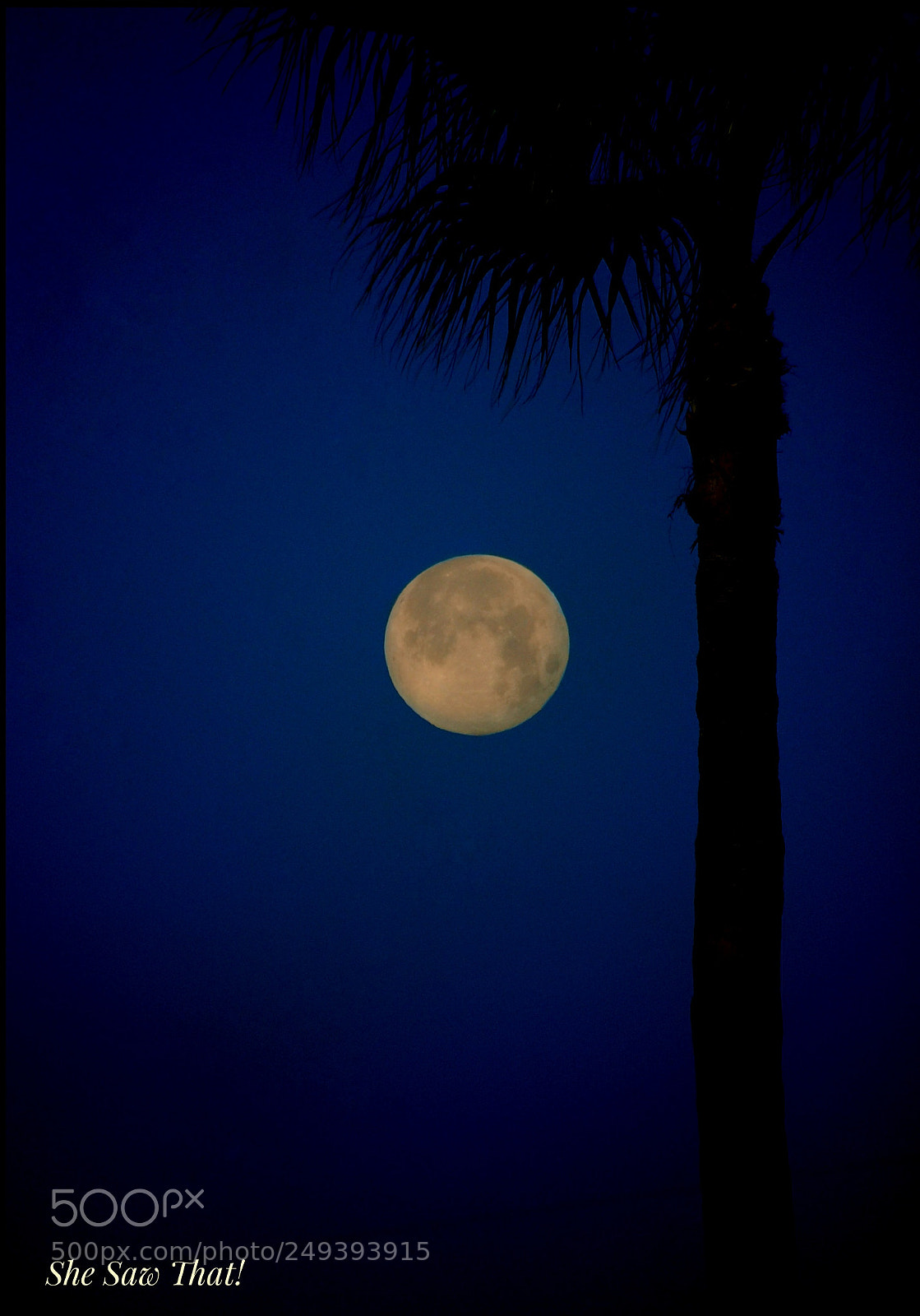 Nikon D40 sample photo. Untitled photography