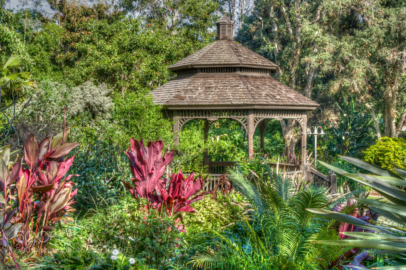 Sony a6300 sample photo. Secluded gazebo in tropical photography
