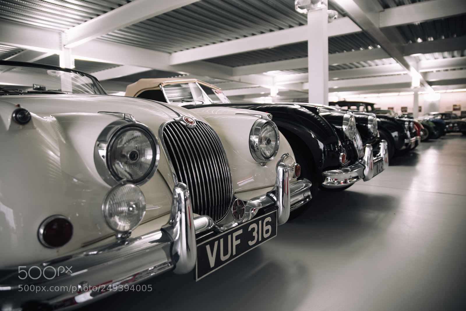 Pentax K-1 sample photo. Classic jaguars photography