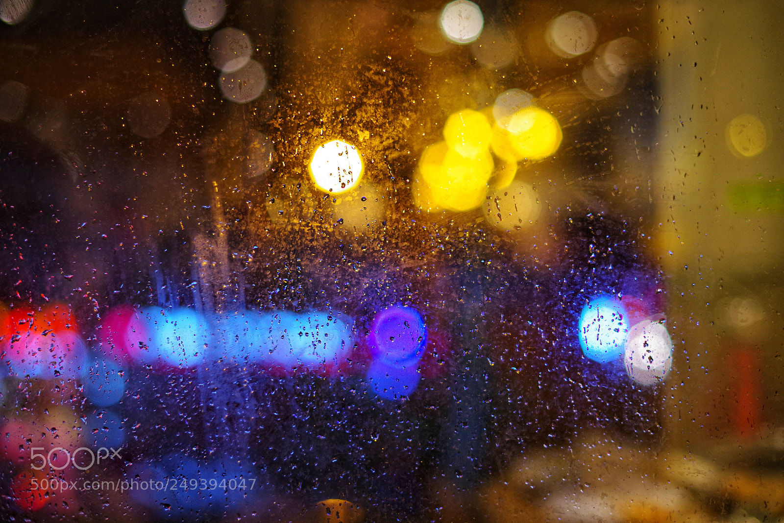 Pentax K-1 sample photo. Untitled photography