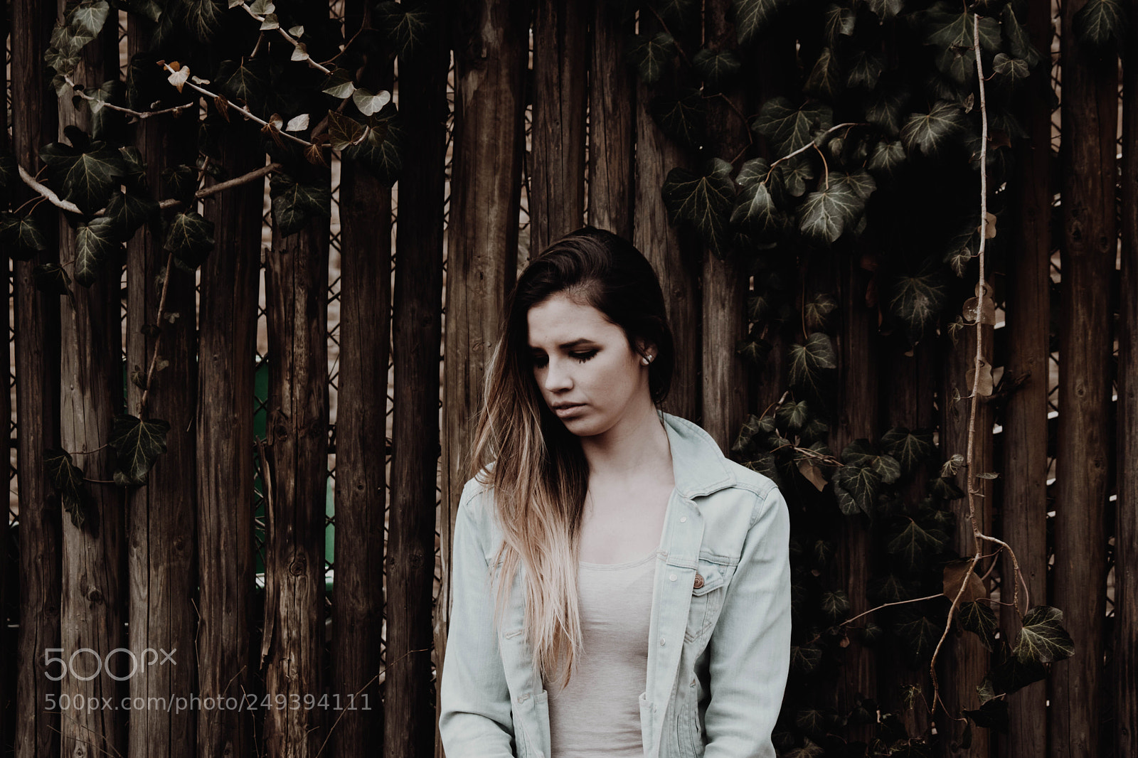 Nikon D5300 sample photo. Forest photography