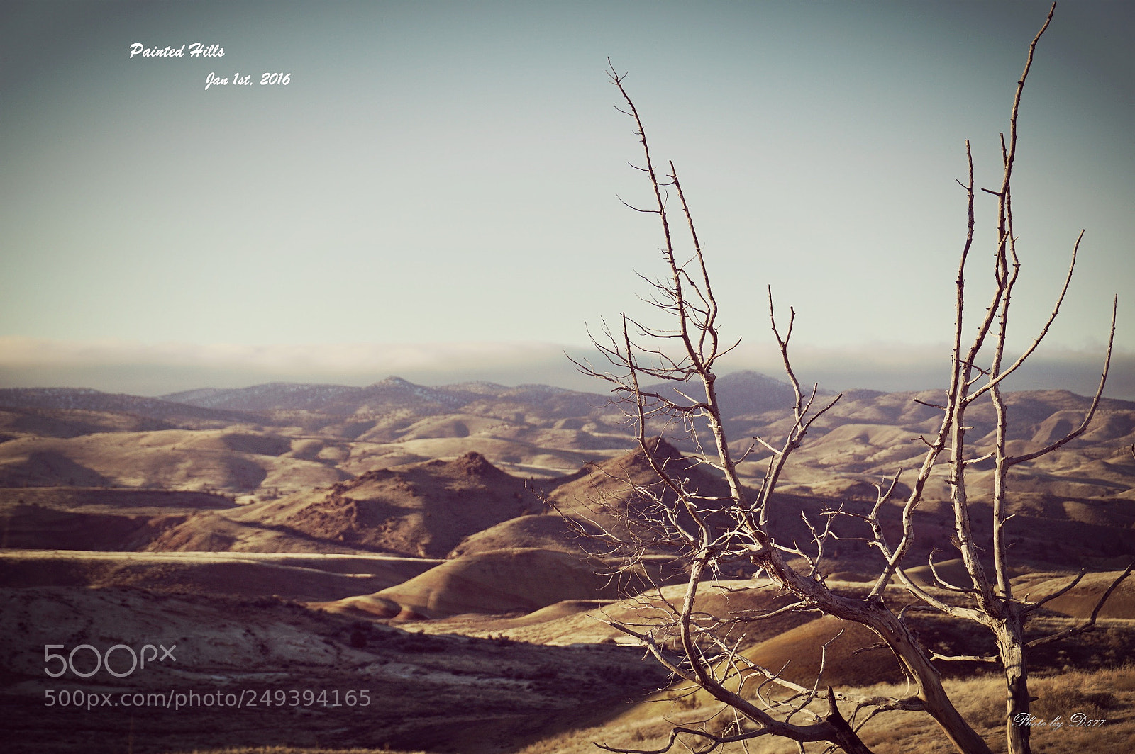 Sony a6000 sample photo. Painted hill photography