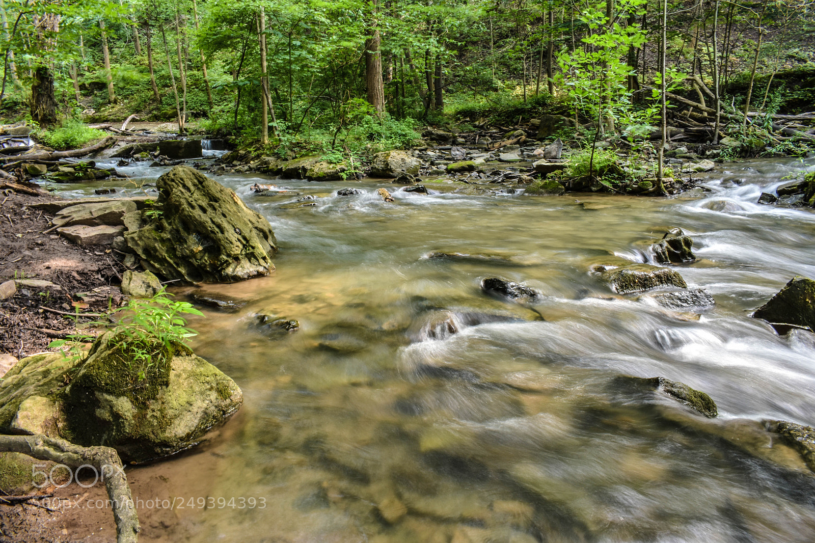 Nikon D3400 sample photo. Decew stream photography