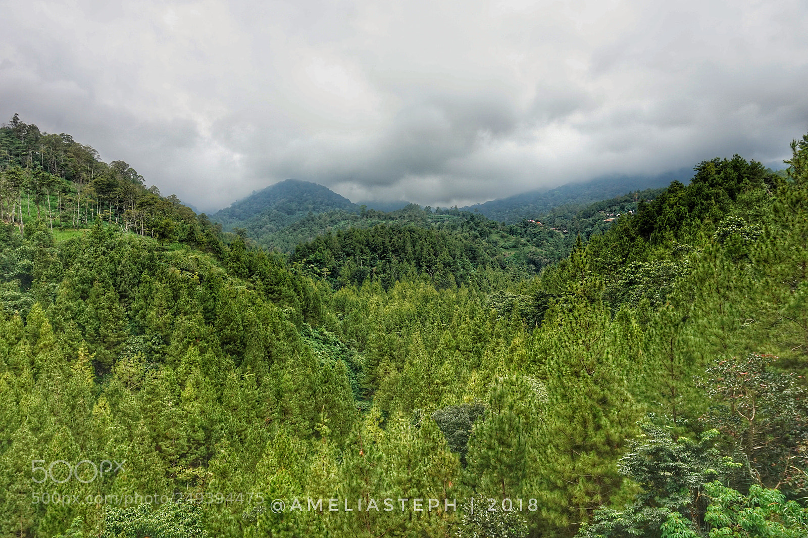 Sony Alpha a5000 (ILCE 5000) sample photo. Green in mountain photography