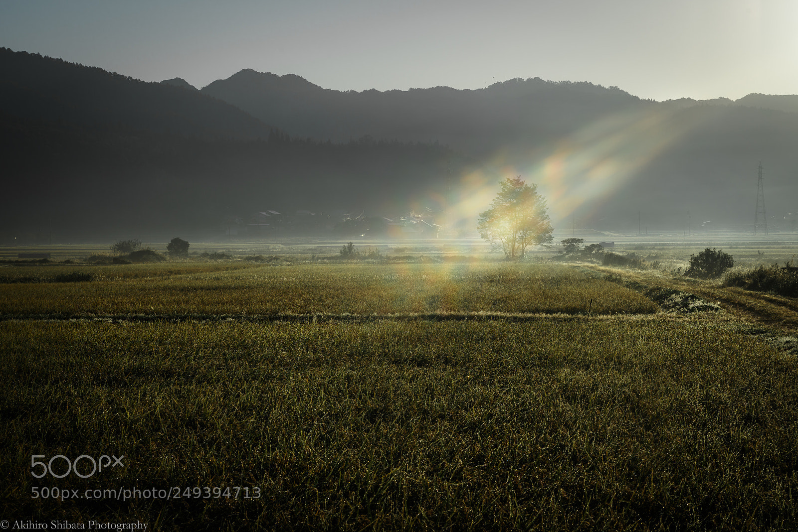 Pentax K-1 sample photo. Morning light photography