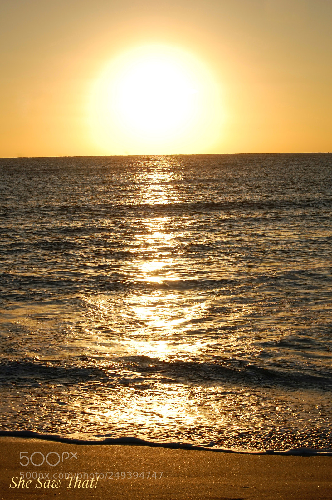 Nikon D40 sample photo. Untitled photography