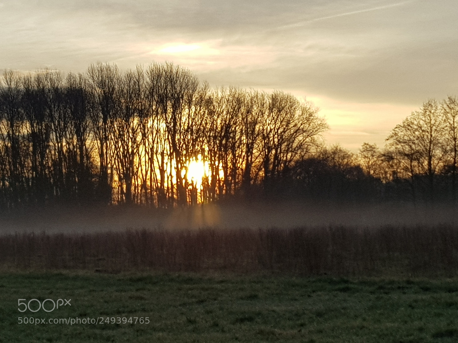 Samsung Galaxy S8 sample photo. In the morning photography