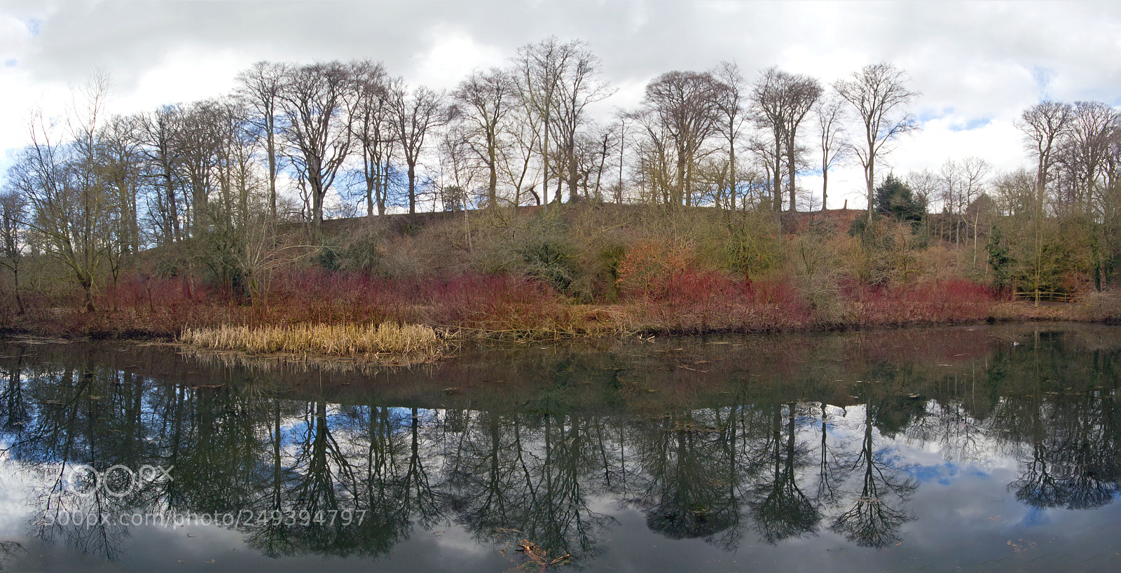 Canon EOS 60D sample photo. March reflections. photography
