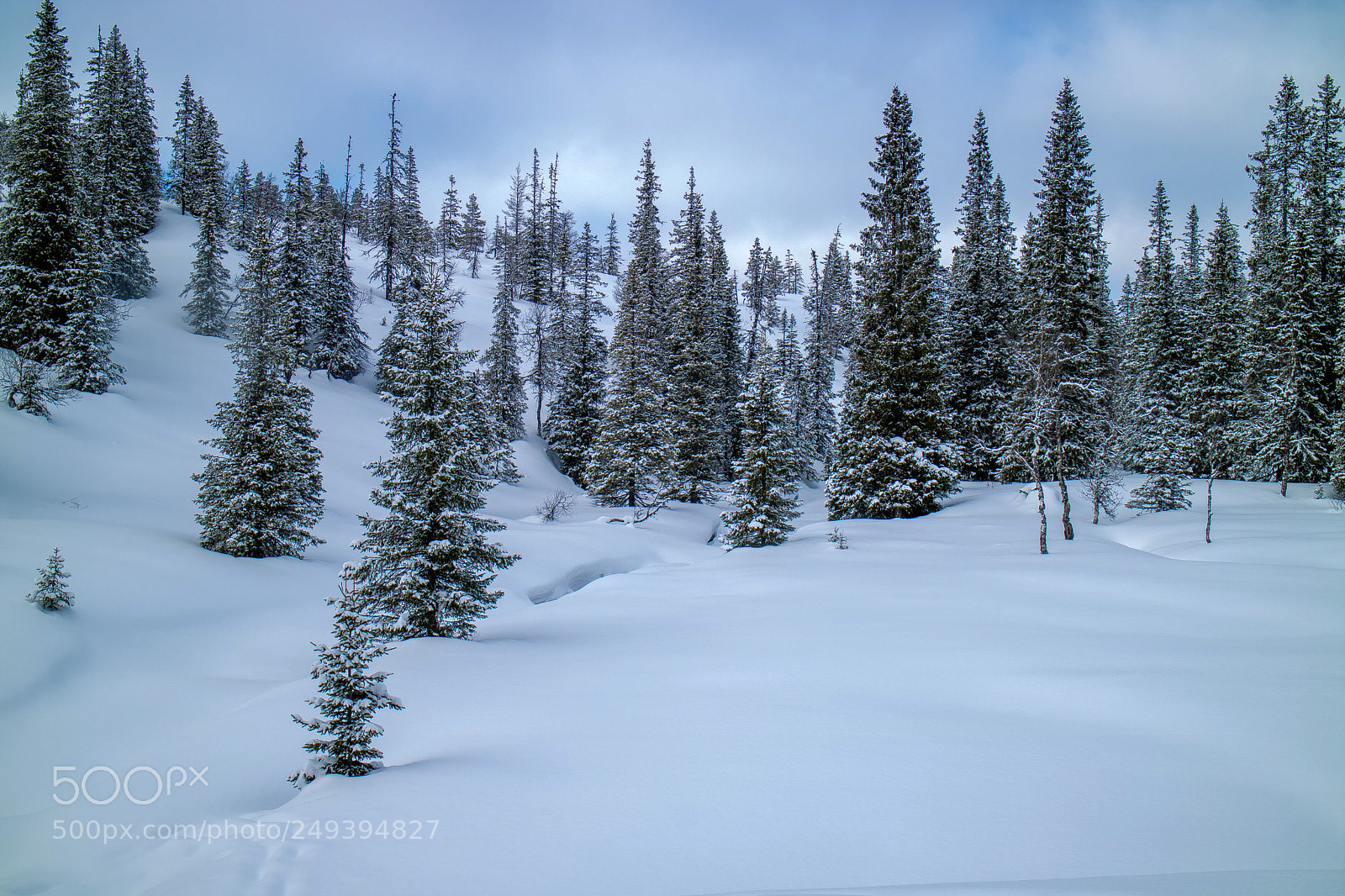 Canon EOS M3 sample photo. Snow landscape photography