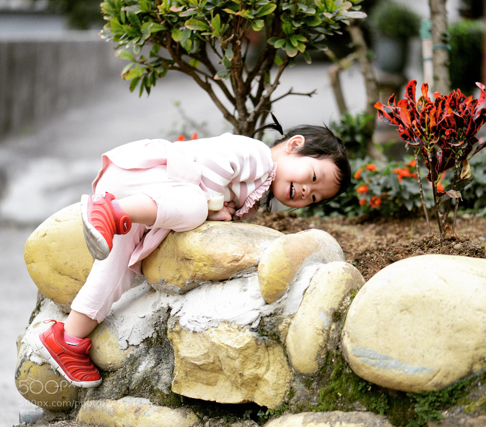 Nikon D800 sample photo. Untitled photography