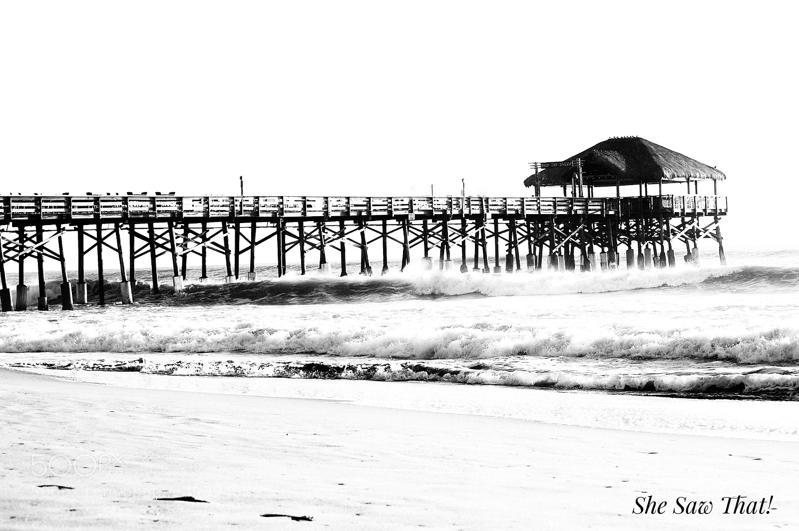 Nikon D40 sample photo. Untitled photography