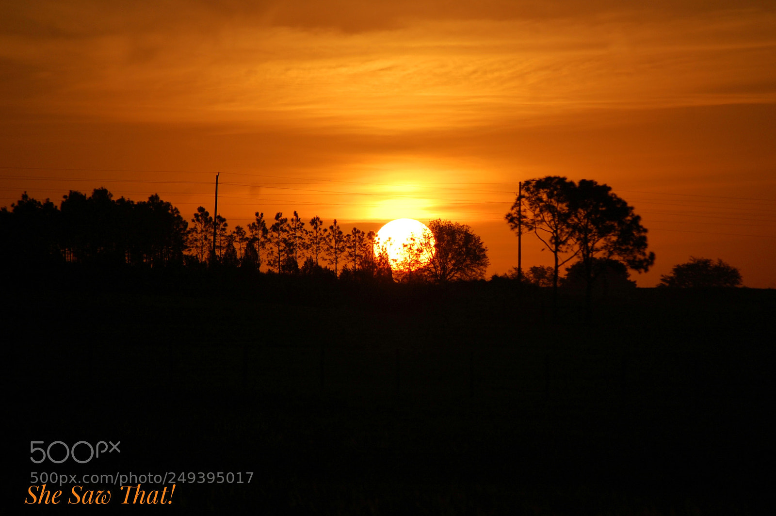 Nikon D40 sample photo. Untitled photography