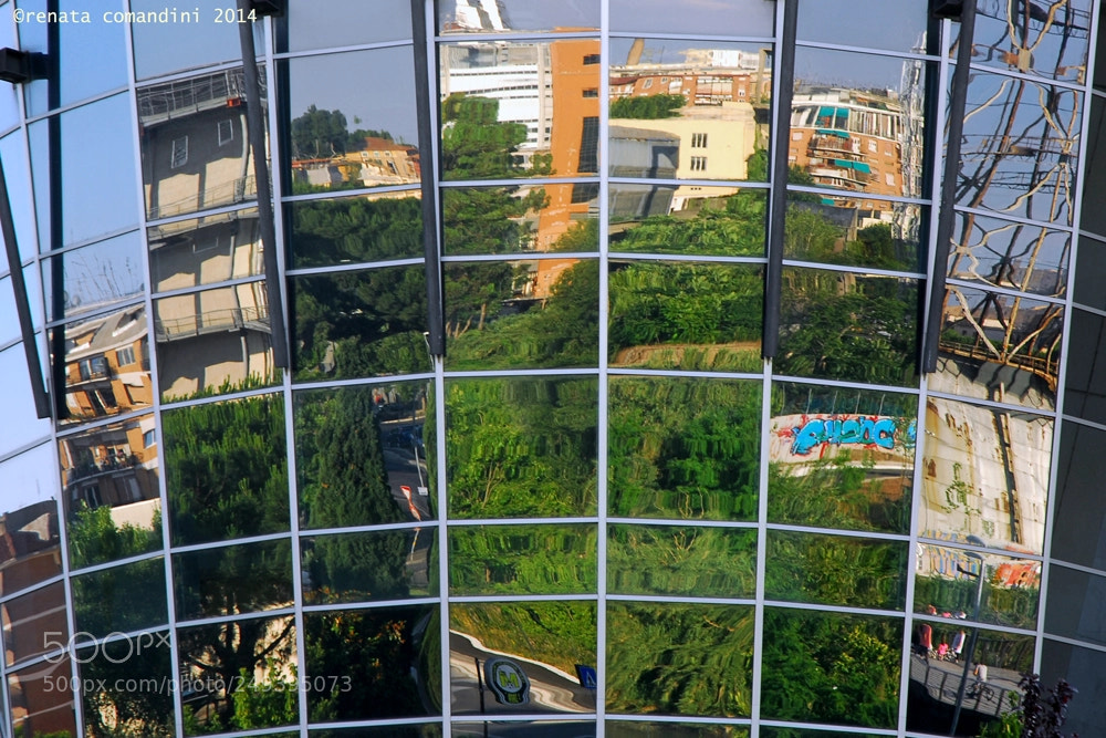 Nikon D200 sample photo. Riflessi di testaccio photography