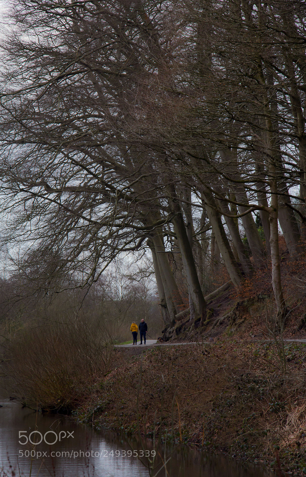 Canon EOS 60D sample photo. March walking. photography