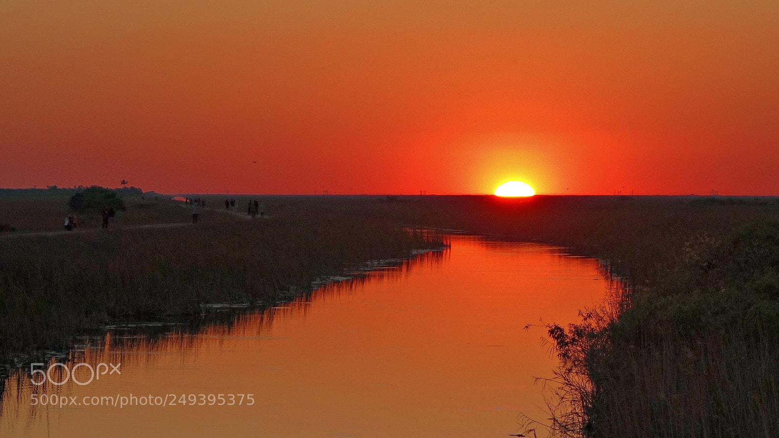 Sony Cyber-shot DSC-RX100 II sample photo. An orange sky beyond photography