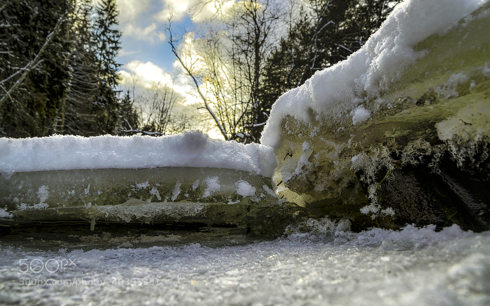 Nikon D610 sample photo. Art of winter photography