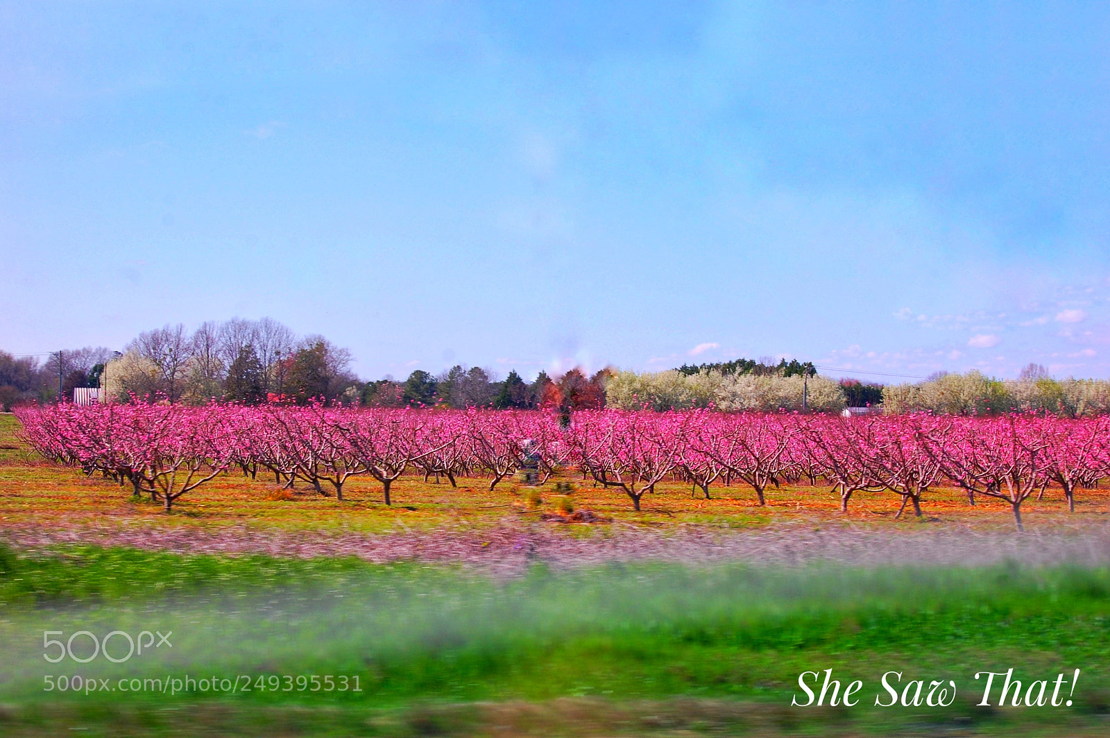 Nikon D40 sample photo. Untitled photography