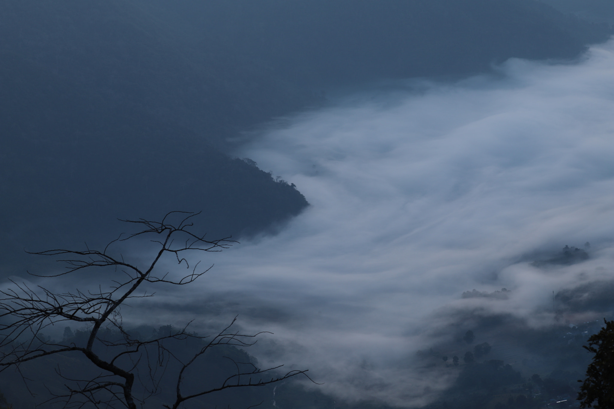Canon EOS 6D Mark II sample photo. Wet fog photography