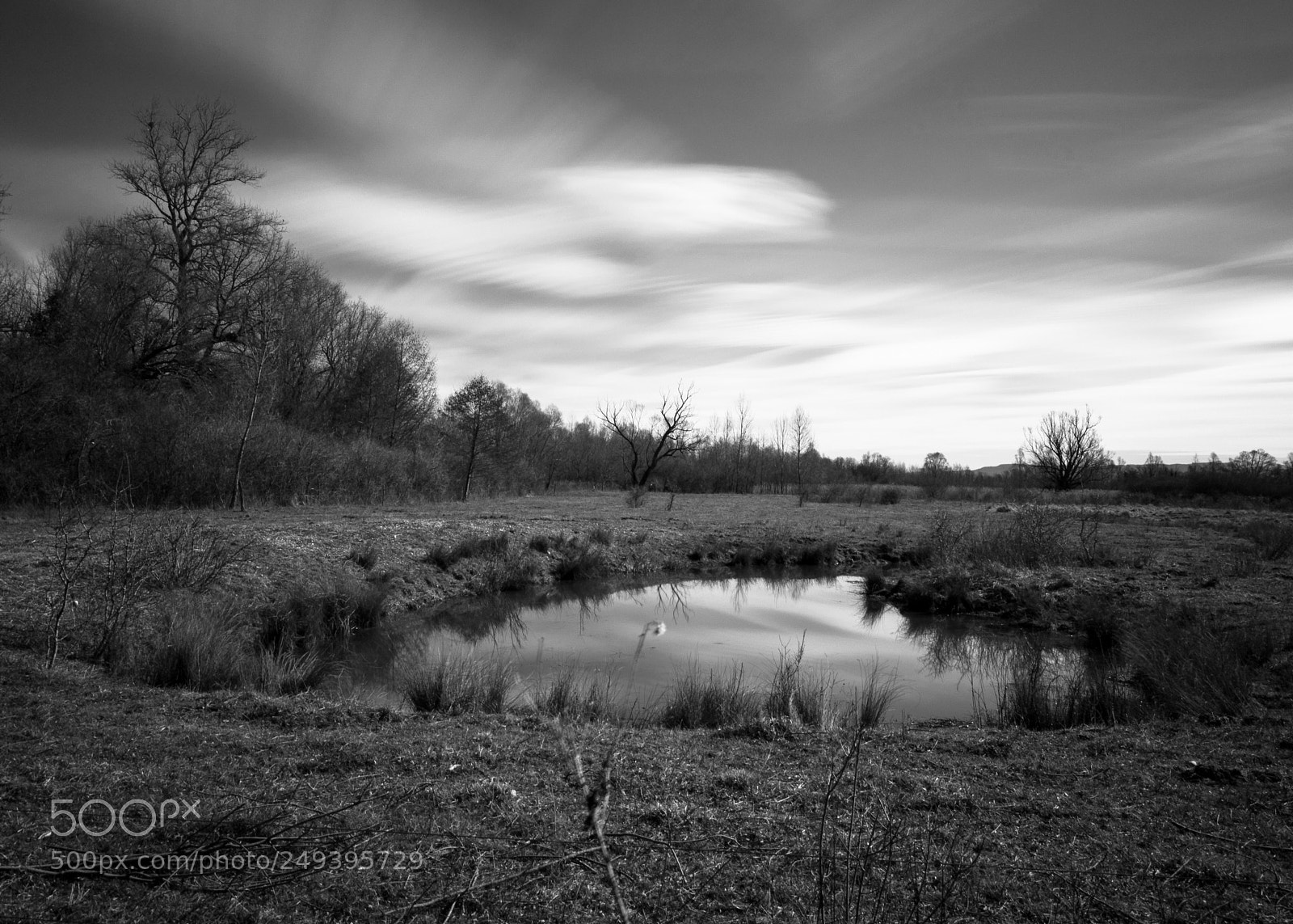 Nikon D5300 sample photo. Petit camarque photography