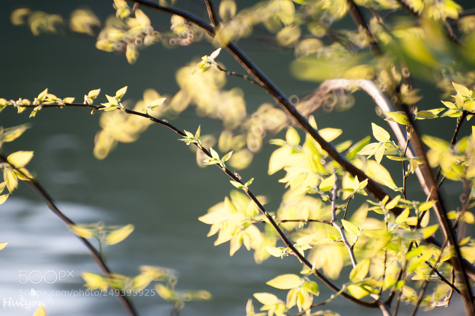 Nikon D700 sample photo. Untitled photography