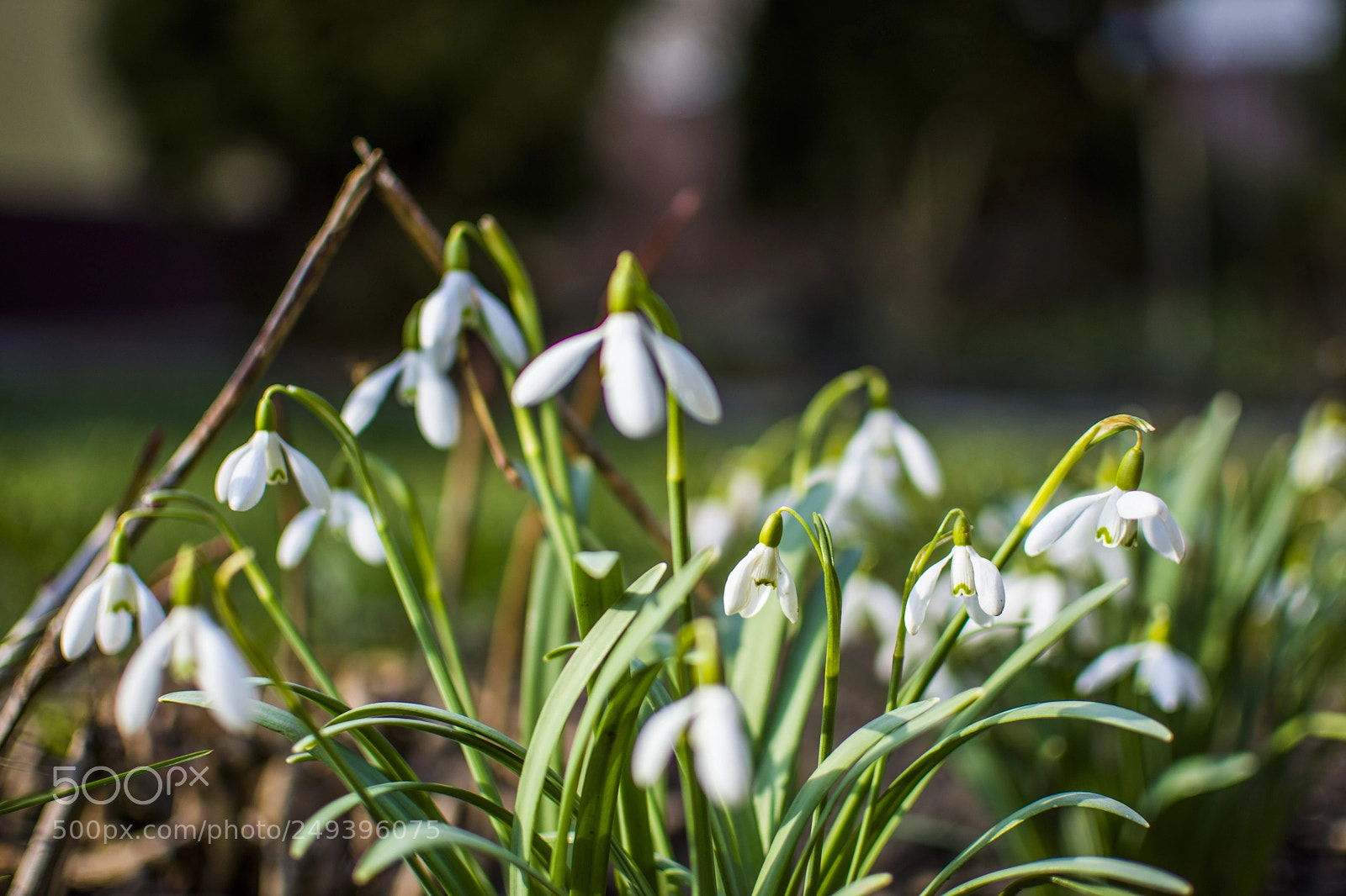 Nikon D7200 sample photo. Signs photography