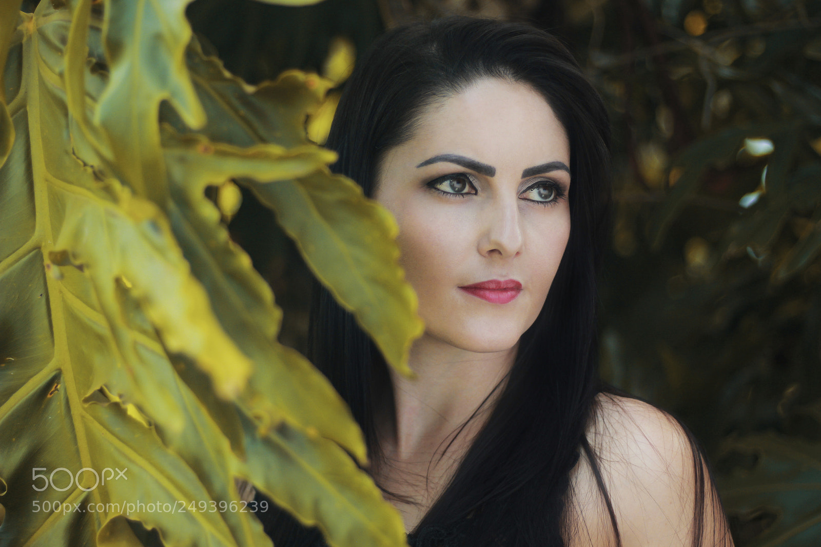 Canon EOS 60D sample photo. Desse país tropical... (: photography