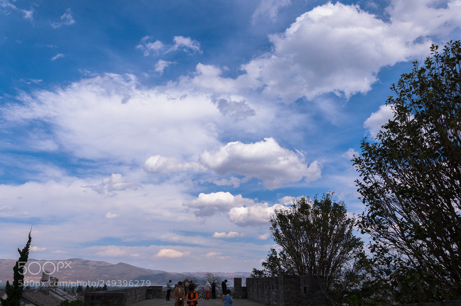 Nikon D90 sample photo. Over the trees photography