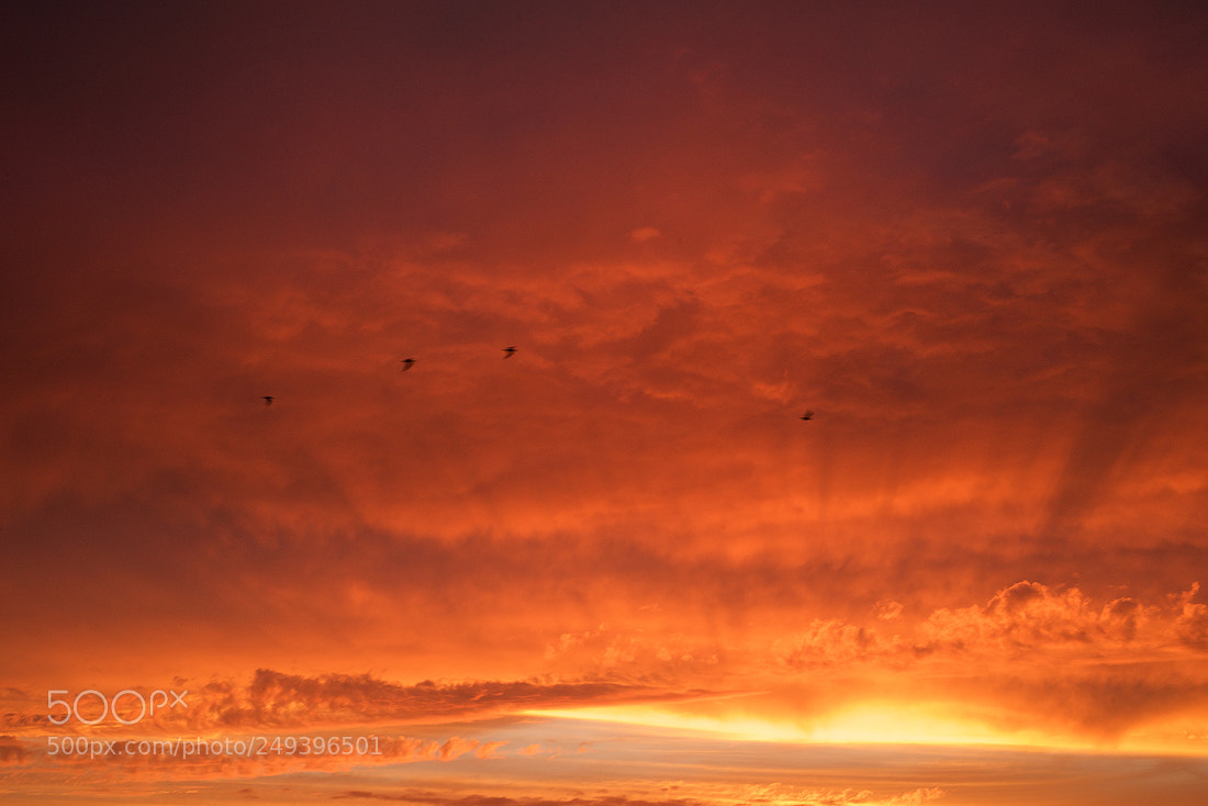 Nikon D800 sample photo. The sky is the photography