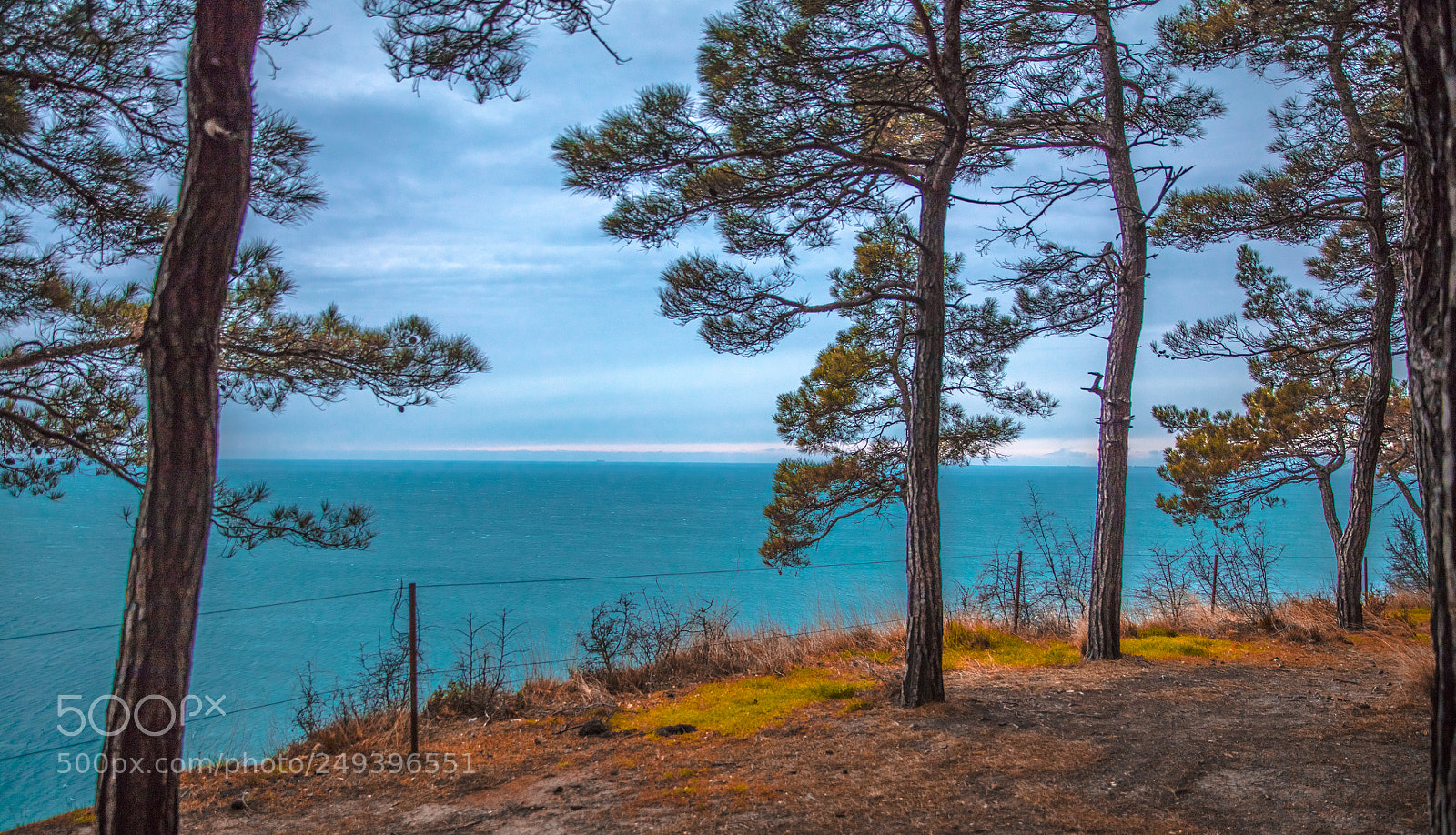 Canon EOS 5DS R sample photo. On the rock photography