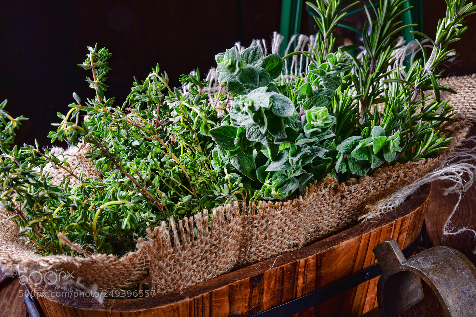 Nikon D810 sample photo. Herbal collection of thyme,oregano photography