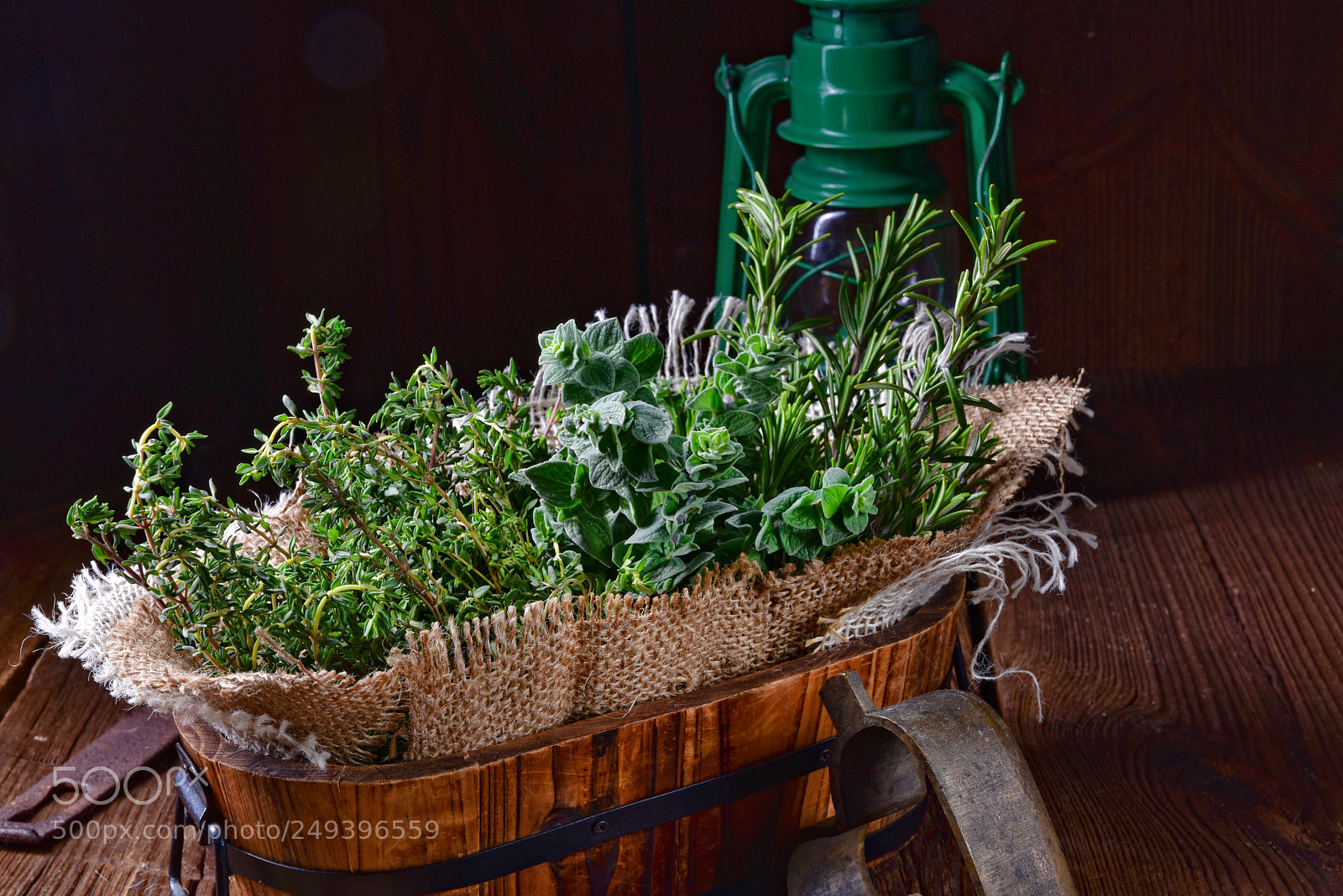 Nikon D810 sample photo. Herbal collection of thyme,oregano photography