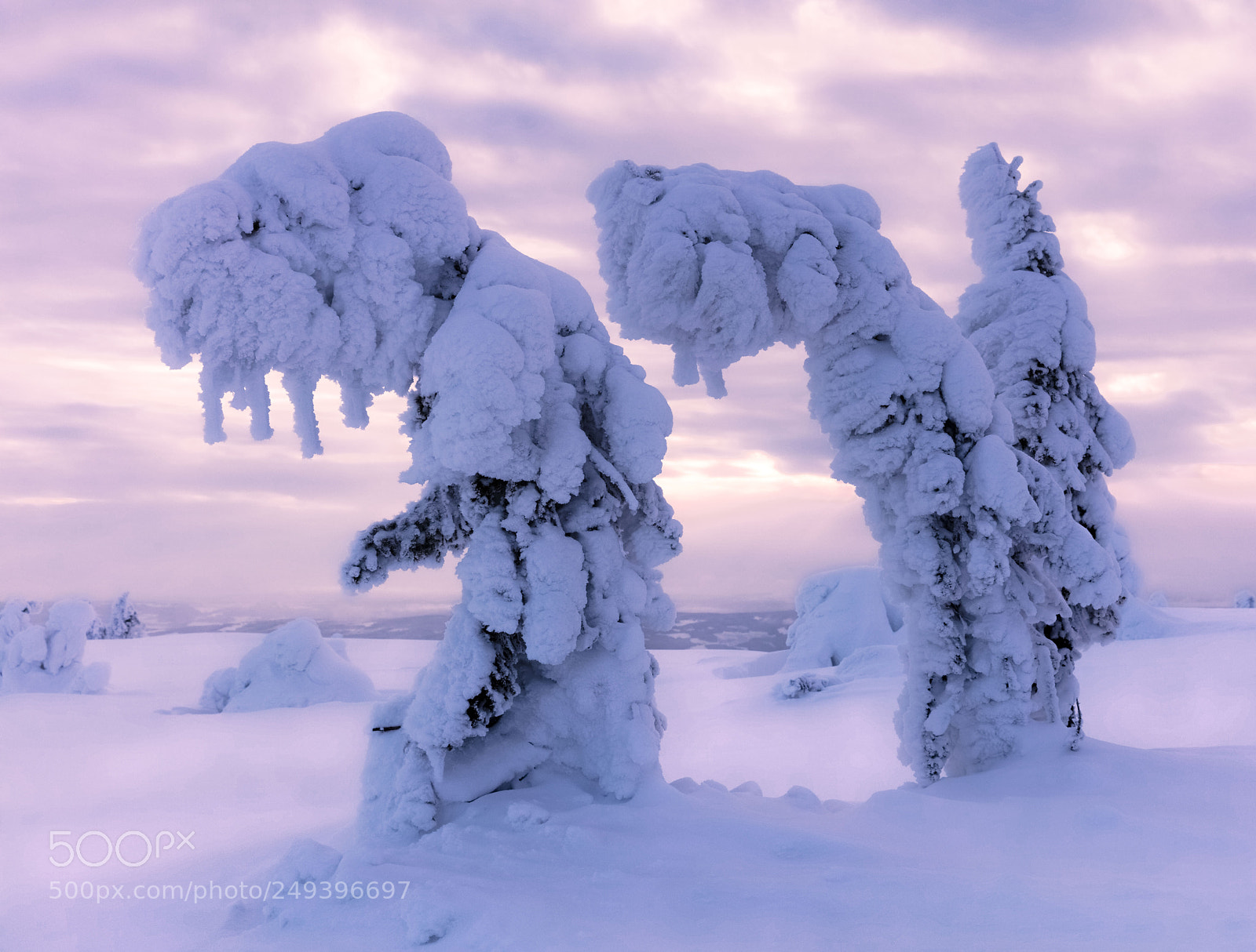 Canon EOS 5DS sample photo. Winter trolls photography