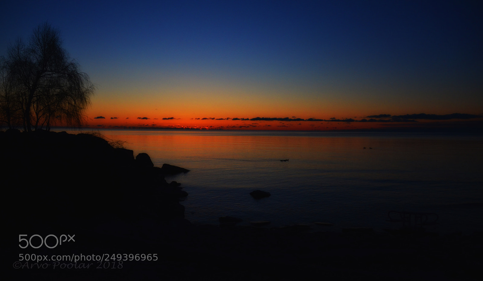 Nikon D7000 sample photo. Sunrise march 11 2018 photography