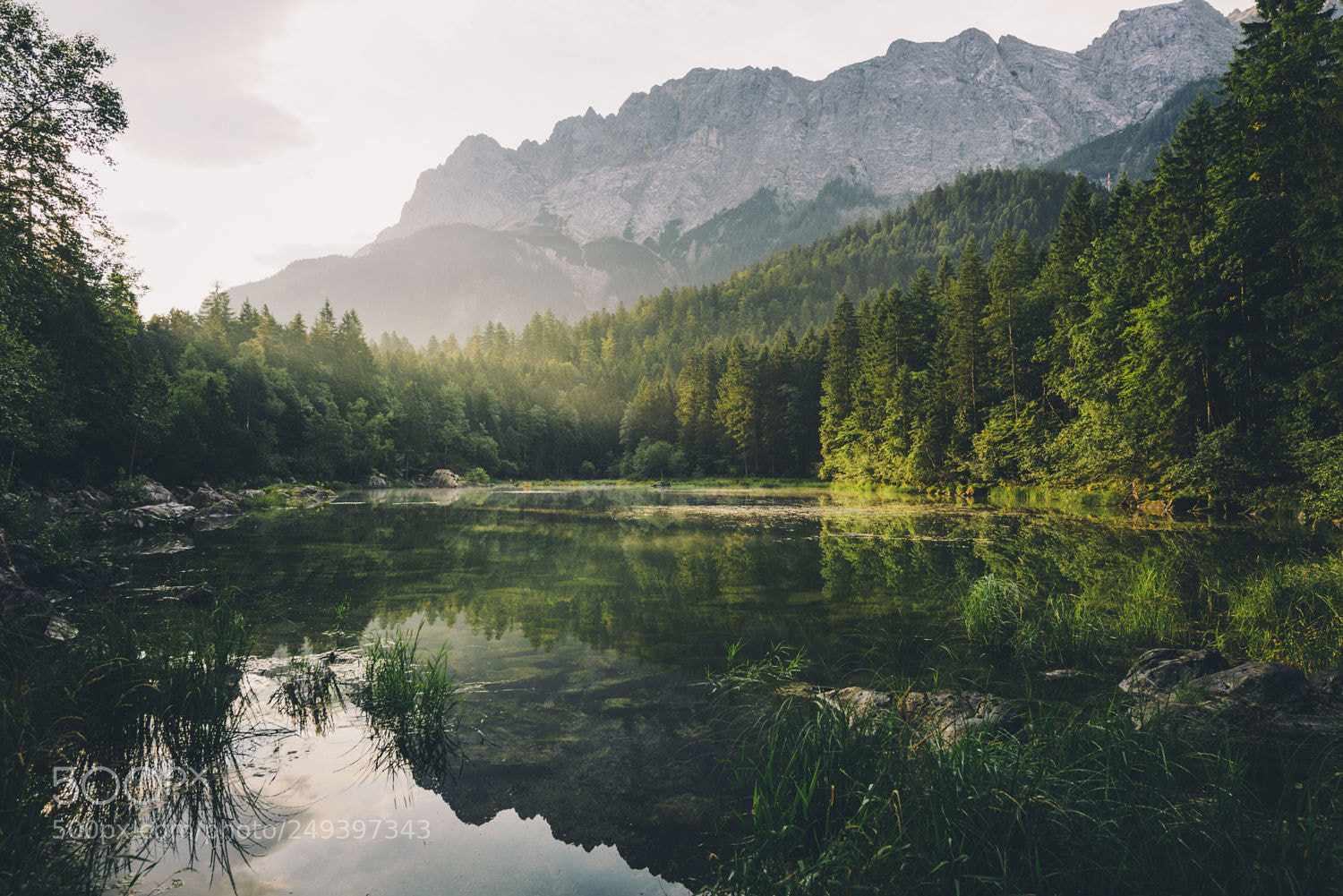 Nikon D610 sample photo. Stock photo photography