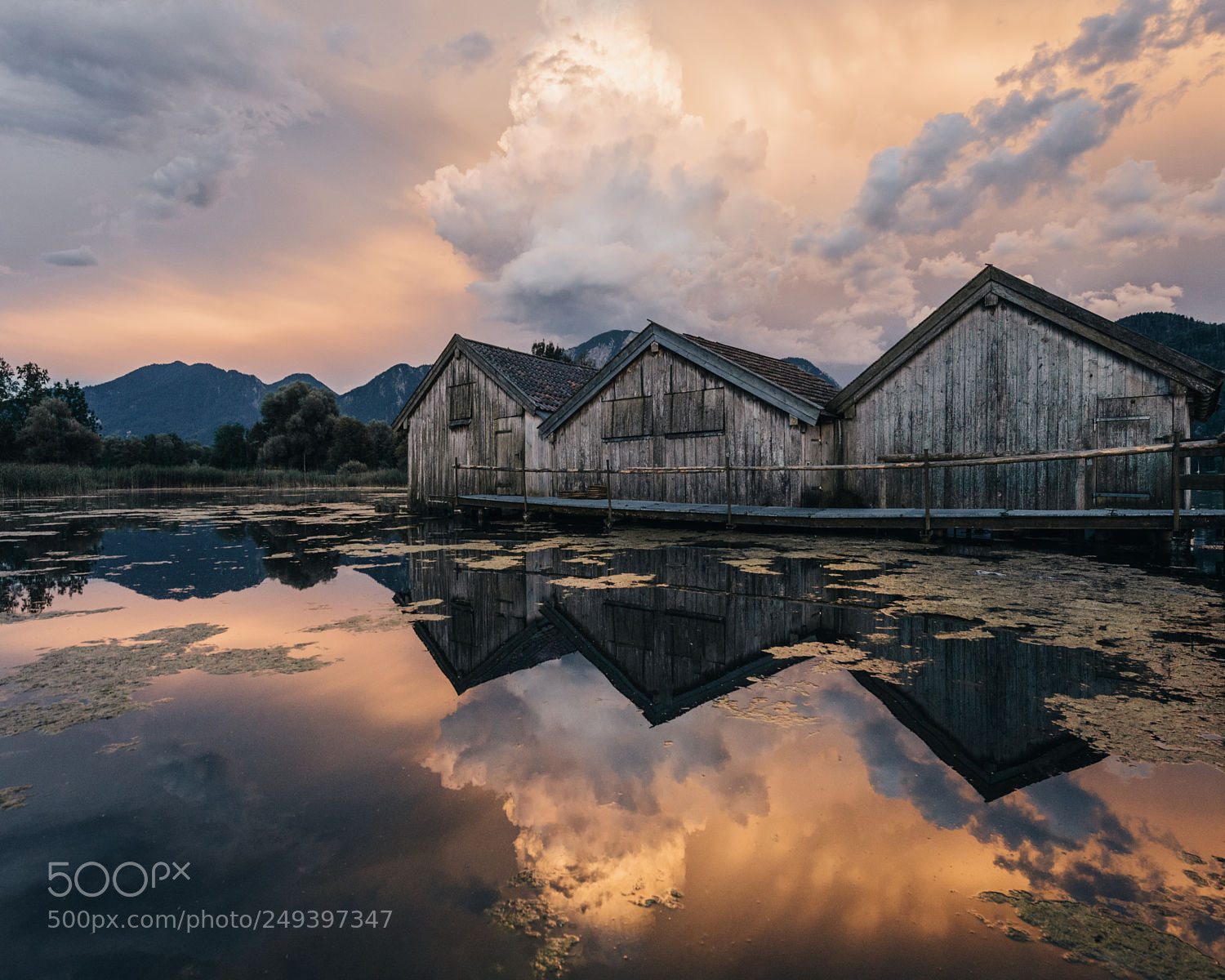 Nikon D610 sample photo. Stock photo photography