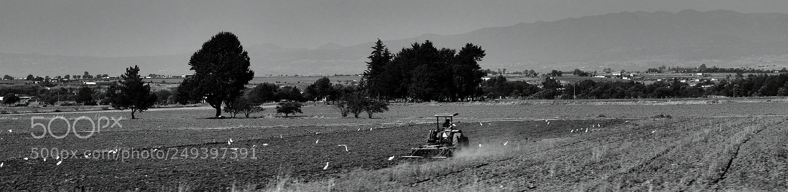 Nikon D5500 sample photo. Tractor trabajando b w photography