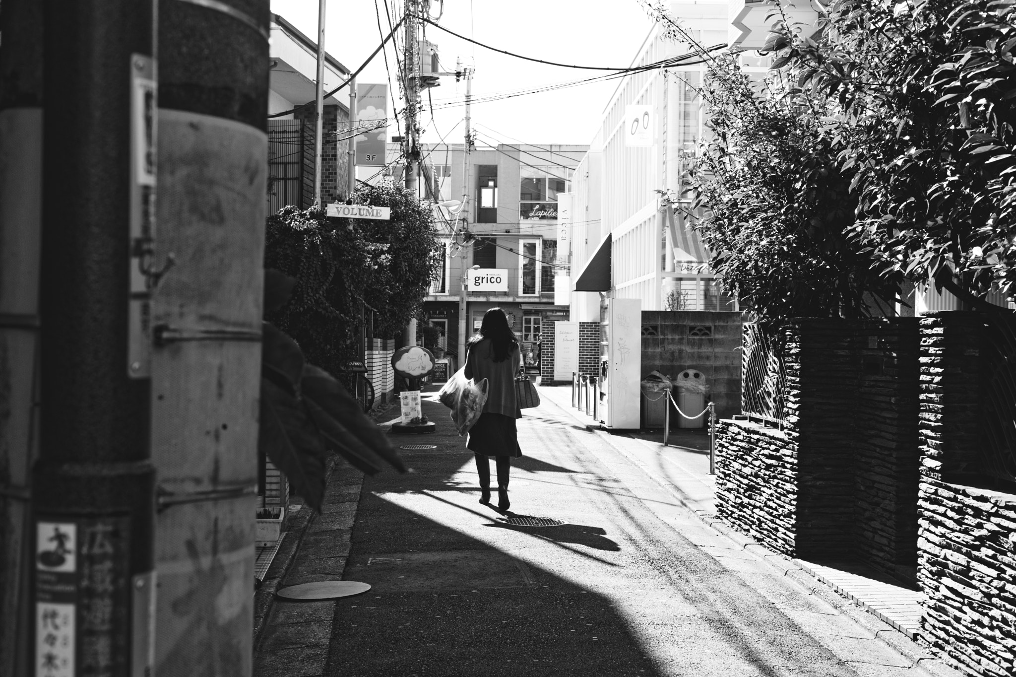 Nikon D750 + Nikon AF Nikkor 50mm F1.8D sample photo. #103 photography