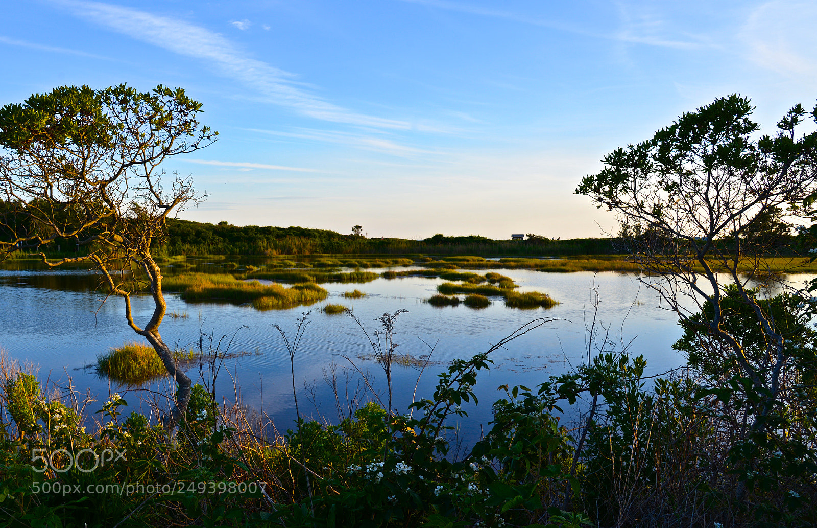 Nikon D600 sample photo. Evening on the marsh photography