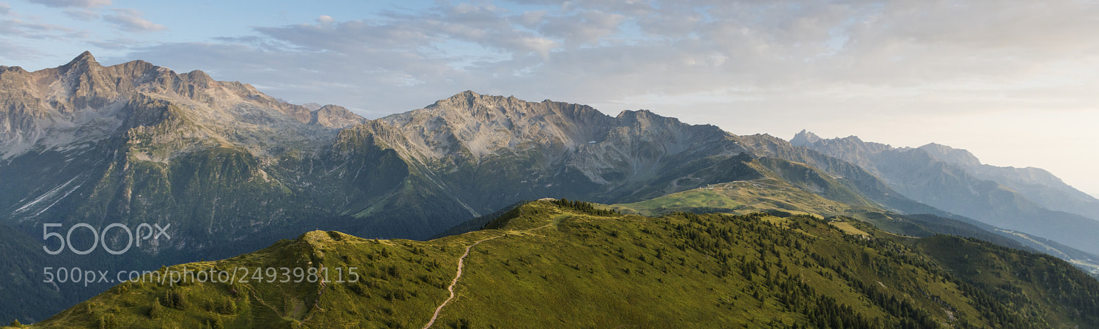 Nikon D800 sample photo. Aerial image of green photography