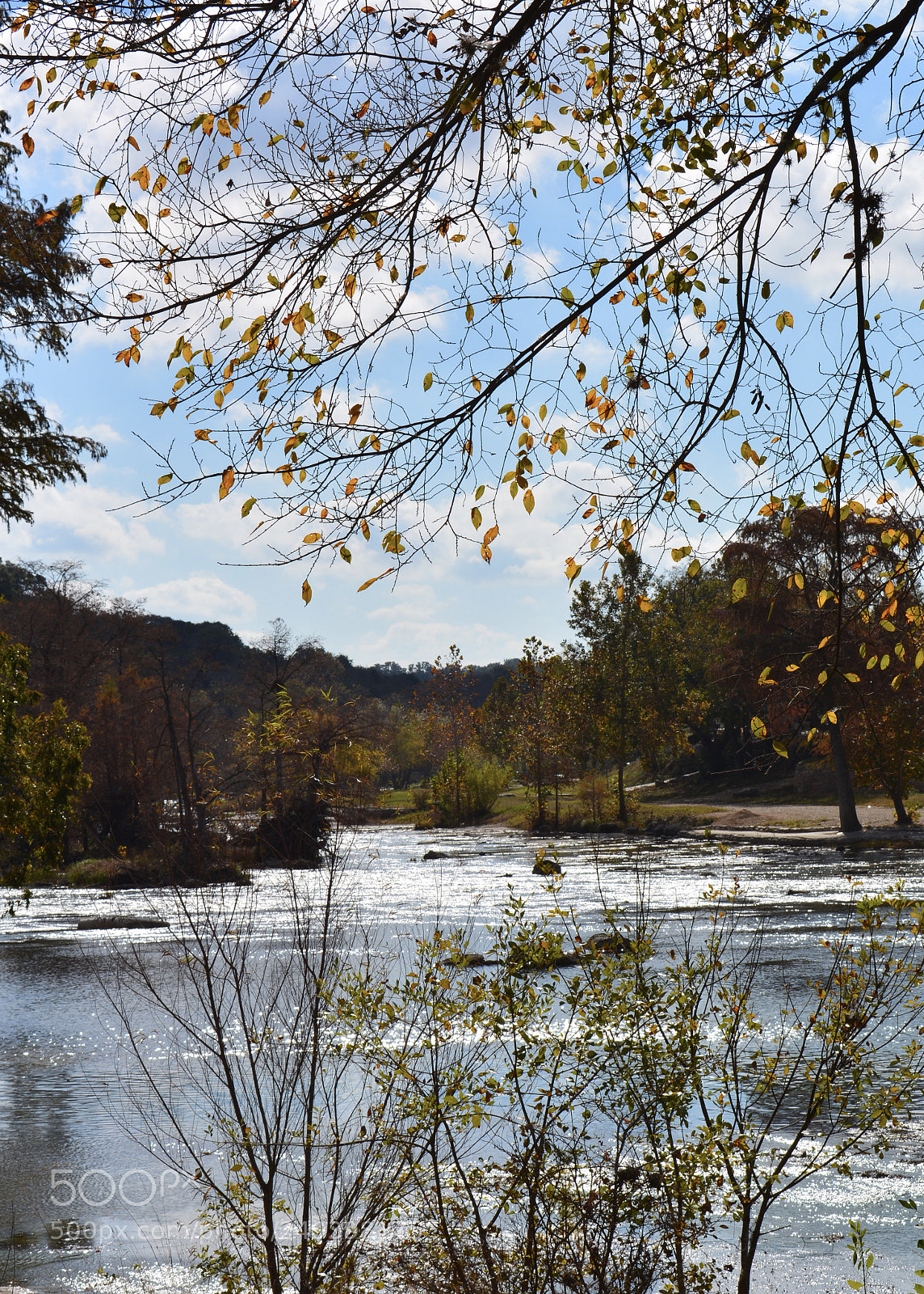 Nikon D7100 sample photo. River road photography
