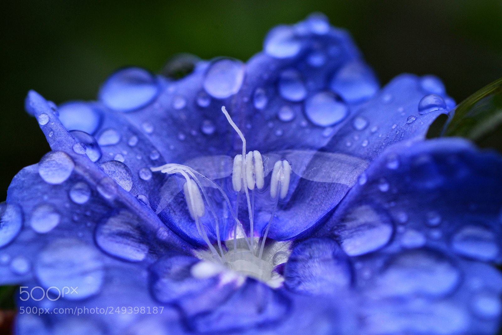 Nikon D7100 sample photo. Untitled photography