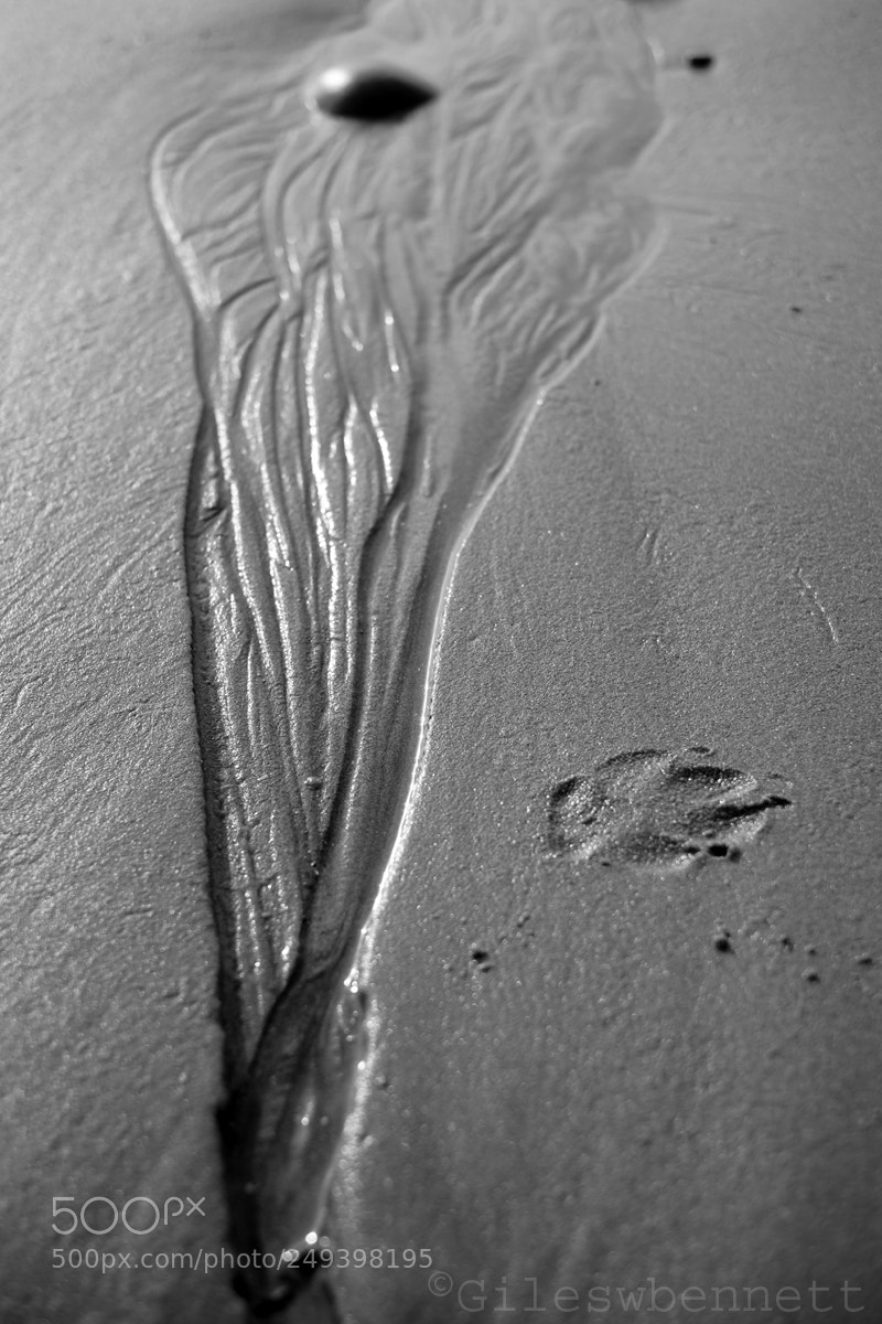 Fujifilm X-T1 sample photo. Water on sand 1 photography